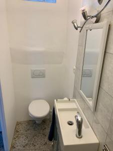 a bathroom with a toilet and a sink and a mirror at Le Grenier in Sospel