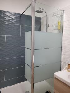 La salle de bains est pourvue d'une douche avec une porte en verre. dans l'établissement Avignon : Appartement le in et off, à Avignon