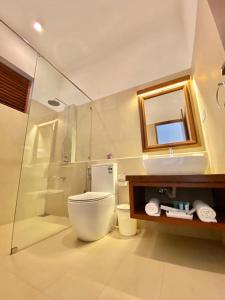 ein Bad mit einem WC, einer Dusche und einem Spiegel in der Unterkunft Hotel Nilwala in Bentota