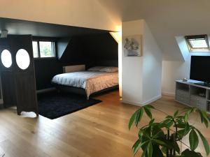Fotografia z galérie ubytovania Vaste Chambre Privée proche du Centre de Rennes v destinácii Rennes
