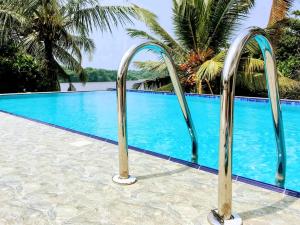 ein Pool mit zwei Metallgriffen daneben in der Unterkunft Hotel Nilwala in Bentota