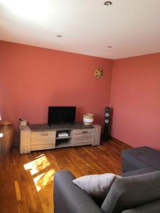 ein Wohnzimmer mit roten Wänden, einem TV und einem Sofa in der Unterkunft Gîte Thomas et Joanie in Moulins-Saint-Hubert