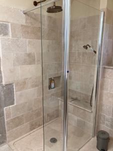 a shower with a glass door in a bathroom at La Villa Romaine 