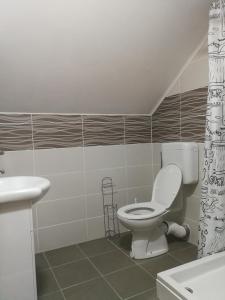 Kúpeľňa v ubytovaní Apartments with a parking space Smoljanac, Plitvice - 12345 + 21 fotografií