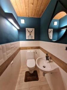 a bathroom with a toilet and a sink at JOHNNY'S RIVER HOUSE in Nadkole +9 photos