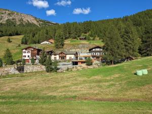 un grand champ avec des maisons dans les montagnes dans l'établissement Appartamento Nido, à Livigno
