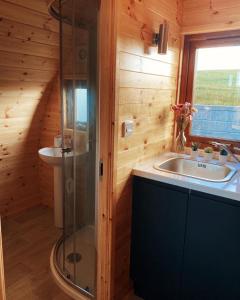 a bathroom with a shower and a sink at The Pods at Streamvale in Gilnahirk