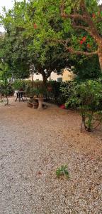 einen Park mit einem Baum, einem Tisch und Bänken in der Unterkunft Il Giardino di Maura - Aemme2 in Recanati