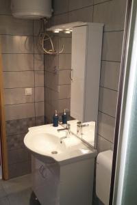 a bathroom with a white sink and a mirror at Apartments by the sea Cove Saplunara, Mljet - 12849 in Maranovići