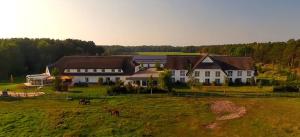 ein großes weißes Haus mit Pferden auf einem Feld in der Unterkunft Friesenhof Hotel-Restaurant-Reitanlage in Trassenheide