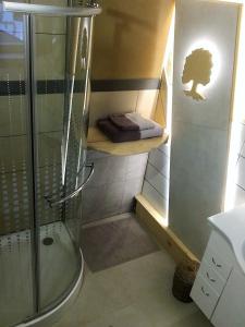 a bathroom with a shower and a toilet and a sink at Oak apartment in Březnice