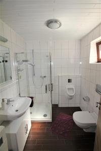 a bathroom with a shower and a sink and a toilet at Ferienwohnung Birkenhof in Volkesfeld
