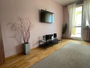 un salon avec une télévision et un vase avec une plante dans l'établissement Apartament Kutrzeby, à Pobiedziska