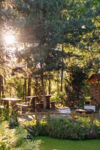 Garbatka-Letnisko的住宿－Glamping - Projekt Alpaka，野餐区,设有野餐桌和一棵树