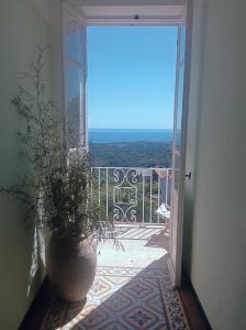 una puerta abierta a un balcón con una planta en A Caserella Chambres d'hôtes, en Valle-di-Campoloro