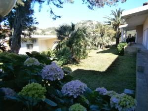 a garden with purple flowers in front of a house at Appartamenti Il Giardino in Porto Rotondo