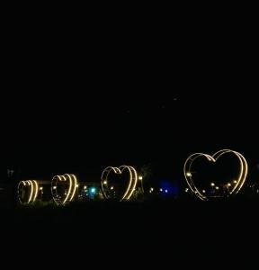 VarianiにあるRanch in Varianiのギャラリーの写真