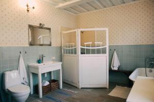 a bathroom with a toilet and a sink and a mirror at Kalnciema kvartāla Kuldīgas rezidence in Kuldīga