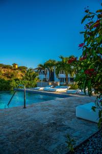 a swimming pool with trees and a house in the background at Blauw Geluk in Blue Bay