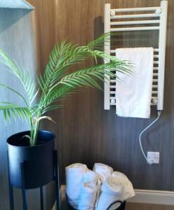a plant in a pot in a bathroom with towels at B'Dazzled Flat, Castletown in Thurso