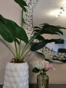 a white vase with a plant in front of a mirror at B'Dazzled Flat, Castletown in Thurso