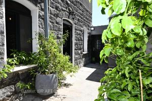 een stenen huis met planten voor een deur bij Puy Bazelet Apartments in Tiberias