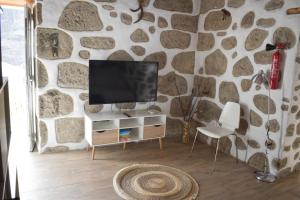 - un salon avec une télévision et un mur en pierre dans l'établissement Casa pitita, à Maspalomas