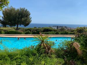 Bazén v ubytovaní Superbe T2 44m2 - Grande terrasse Vue mer panoramique exceptionnelle Piscine - Parking alebo v jeho blízkosti
