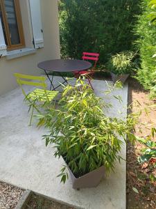 een tafel en twee stoelen en een tafel en een plant bij Gite Pak'Home maison à la campagne 3 étoiles avec wifi in Lombray