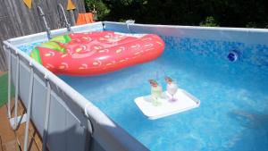 una piscina con 2 bebidas, una balsa y un flotador en FW & FH Lüsselfeld en Zwiesel