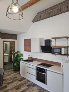 Kuchyň nebo kuchyňský kout v ubytování Penzion Alka