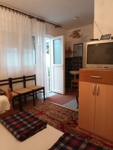 a living room with a tv and a couch at APARTMANI NATALIJA in Bar