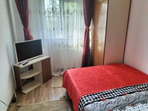 1 dormitorio con 1 cama, TV y ventana en Iuli, en Iaşi