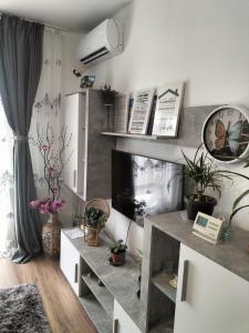 a living room with a tv and a table with plants at Iuli in Iaşi