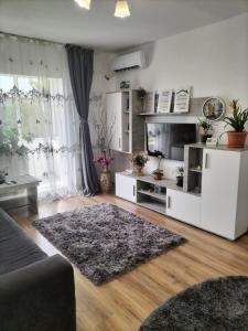 ein Wohnzimmer mit einem Sofa und einem TV in der Unterkunft Iuli in Iaşi