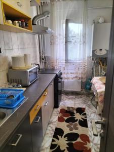 a kitchen with a sink and a microwave at Iuli in Iaşi