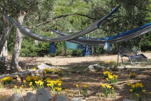 Κήπος έξω από το Seaside house for families with children Cove Kobiljak, Pasman - 320