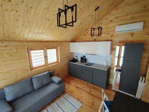 a living room with a couch and a kitchen at Dwór Piotra i Pawła- pokoje i domki in Miedzygorze