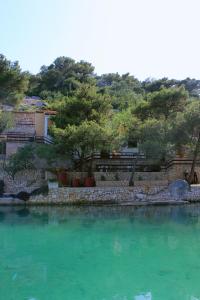 Naturlandskabet i nærheden af lejligheden