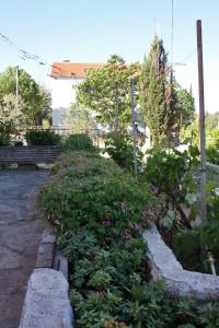 Fotografie z fotogalerie ubytování Apartments with a parking space Biograd na Moru, Biograd - 368 v destinaci Biograd na Moru + 24 fotografií