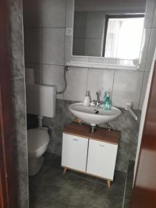 a bathroom with a sink and a toilet at Apartments with a parking space Biograd na Moru, Biograd - 366 in Biograd na Moru