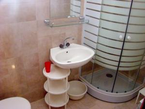 uma casa de banho com um lavatório e um chuveiro em Apartments with a parking space Biograd na Moru, Biograd - 366 em Biograd na Moru