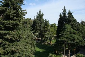 Zahrada ubytování Studio Trpanj 257c