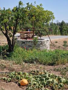 a pile of vegetables on the ground next to a tree at Quinta Penedo das Antas - AL in Sertã