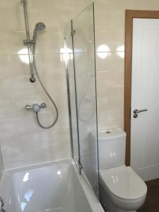 a bathroom with a shower and a toilet and a tub at Shellow Lane Lodges in Congleton