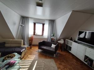 a living room with a couch and a television at Apartment Linss in Gebesee