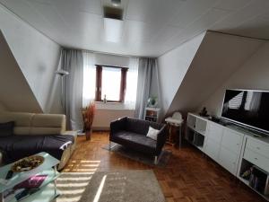 Una sala de estar con un sofá y un televisor. en Apartment Linss, en Gebesee