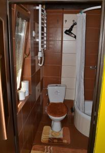 a small bathroom with a toilet and a shower at Domek w Sajenku in Augustów