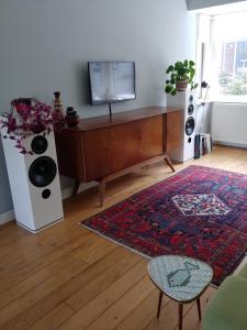 uma sala de estar com uma televisão em cima de um armário em Sfeervolle woning dichtbij centrum Deventer em Deventer