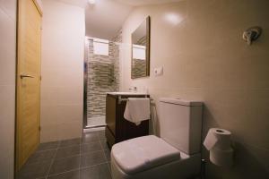 a bathroom with a toilet and a sink at Hospederia Tarela in Santiago de Compostela